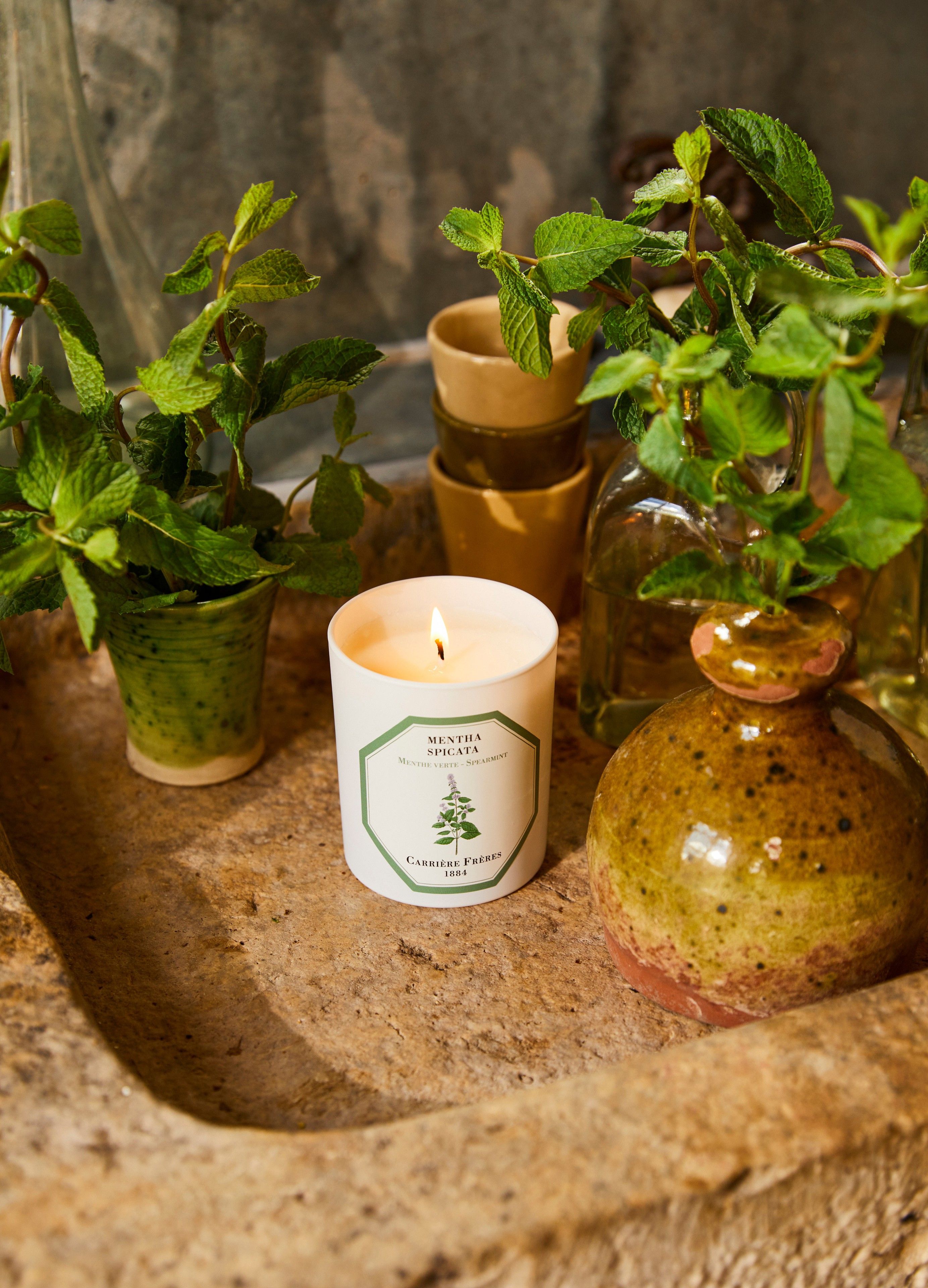 Scented Candle Spearmint - Mentha Spicata 185 g thumbnail 4