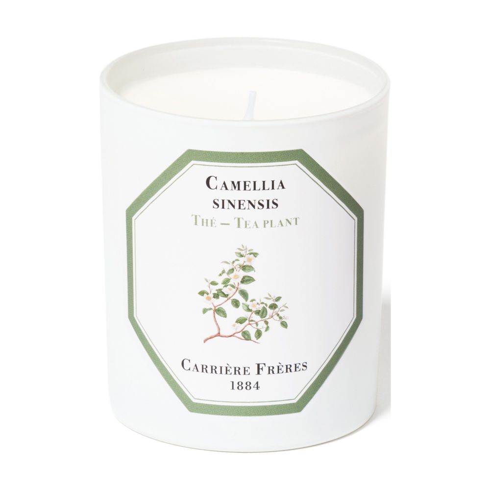 Scented Candle Tea Plant - Camellia Sinensis 185 g thumbnail 5