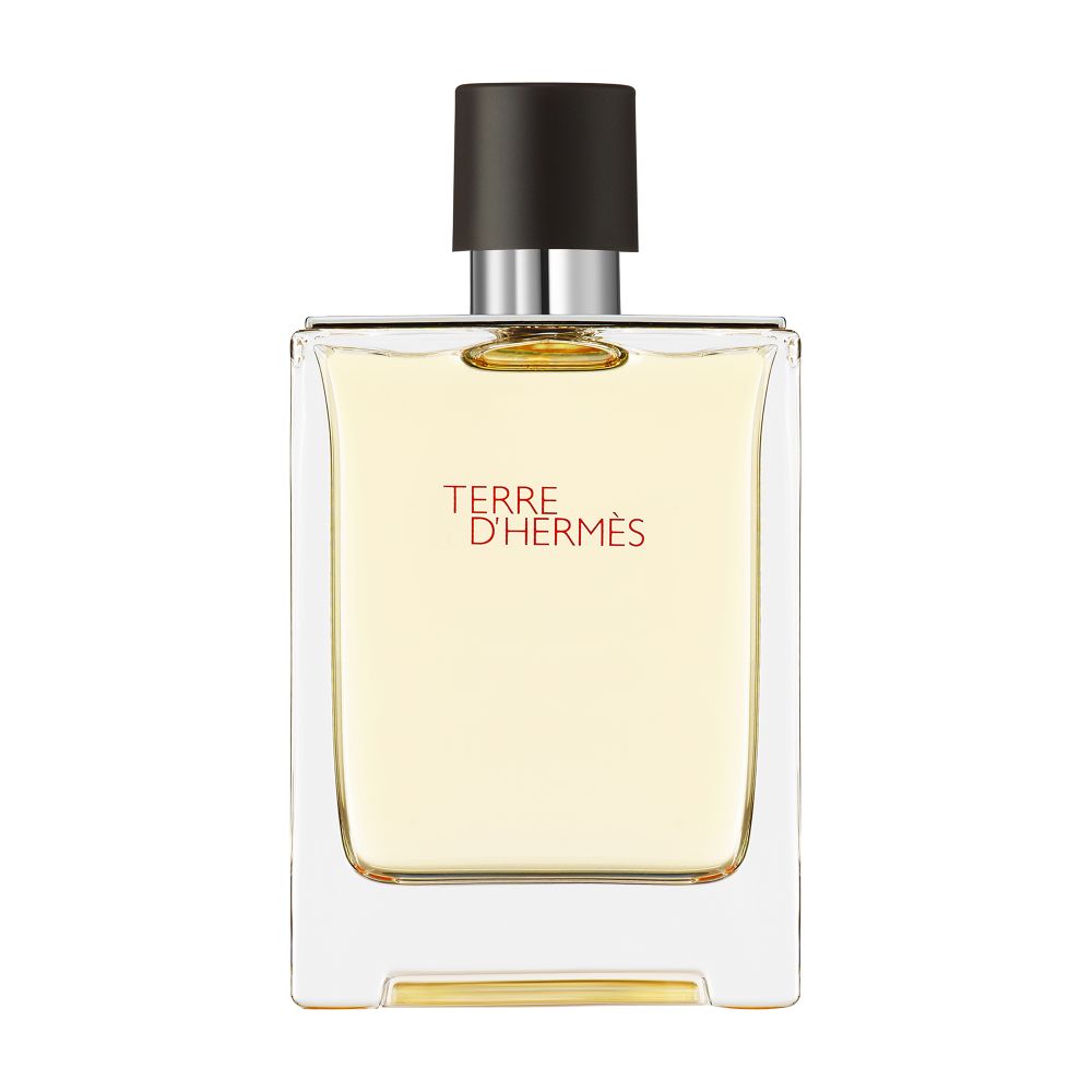 Terre d'Hermès, Eau de Toilette 100 ml thumbnail 6