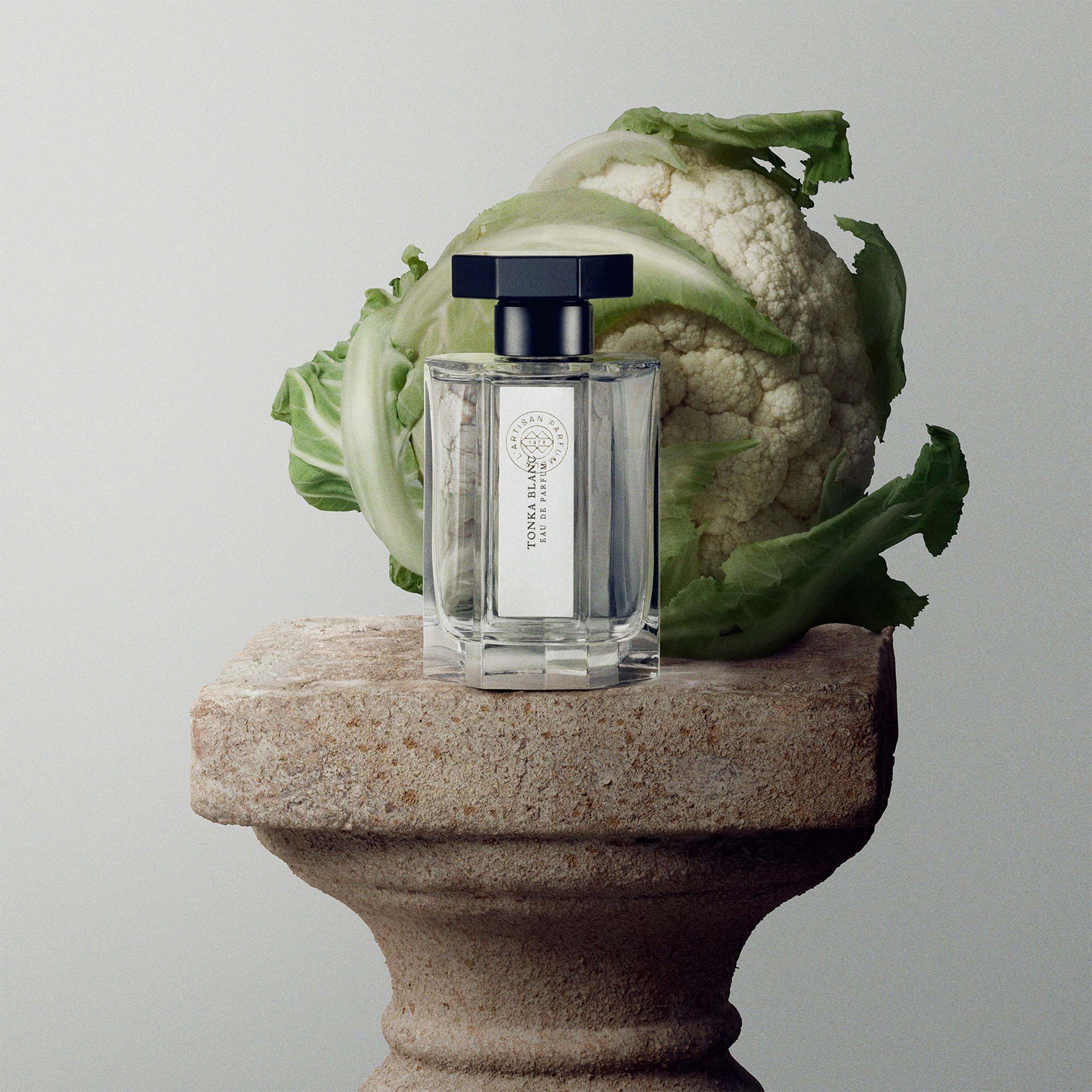 Tonka Blanc eau de cologne 100 ml thumbnail 6
