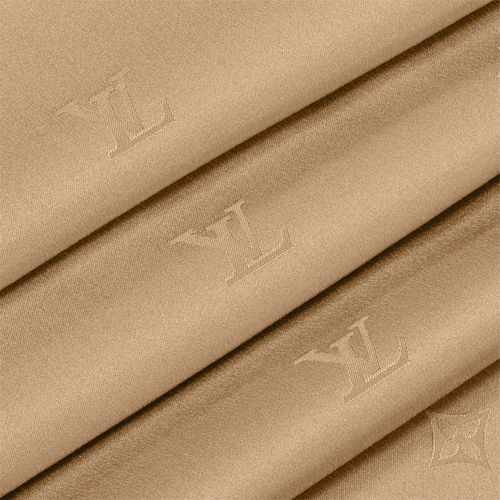 LOUIS VUITTON LV Spotlight Stole