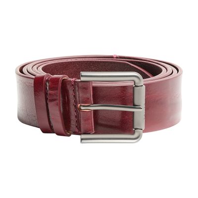 Max Mara Buckle Belt In Brown