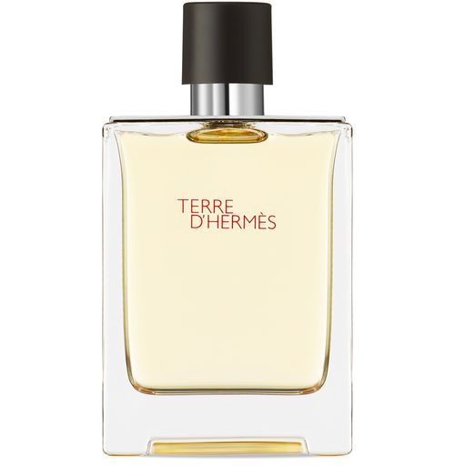 HERMÈS Terre d'Hermès, Eau de Toilette 100 ml