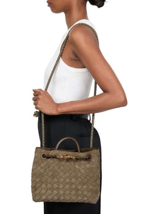 BOTTEGA VENETA Andiamo small bag