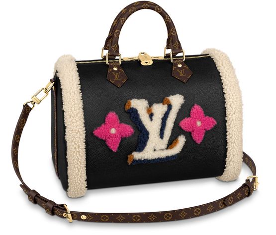 louis vuitton speedy