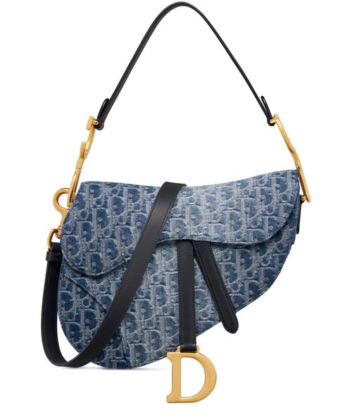 Saddle DIOR Women s 24S