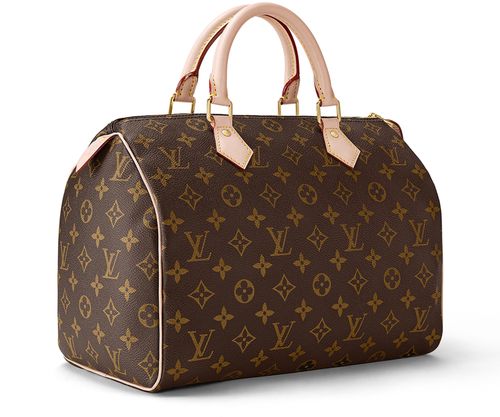 LOUIS VUITTON Speedy 30