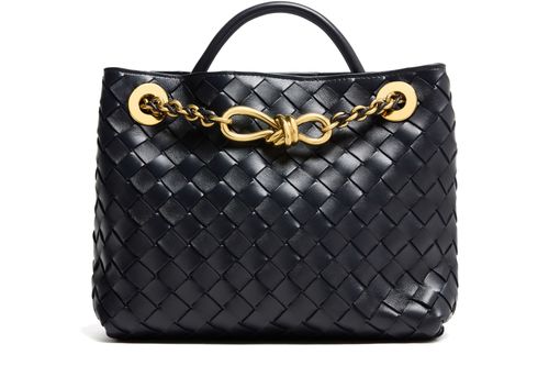BOTTEGA VENETA Andiamo small bag