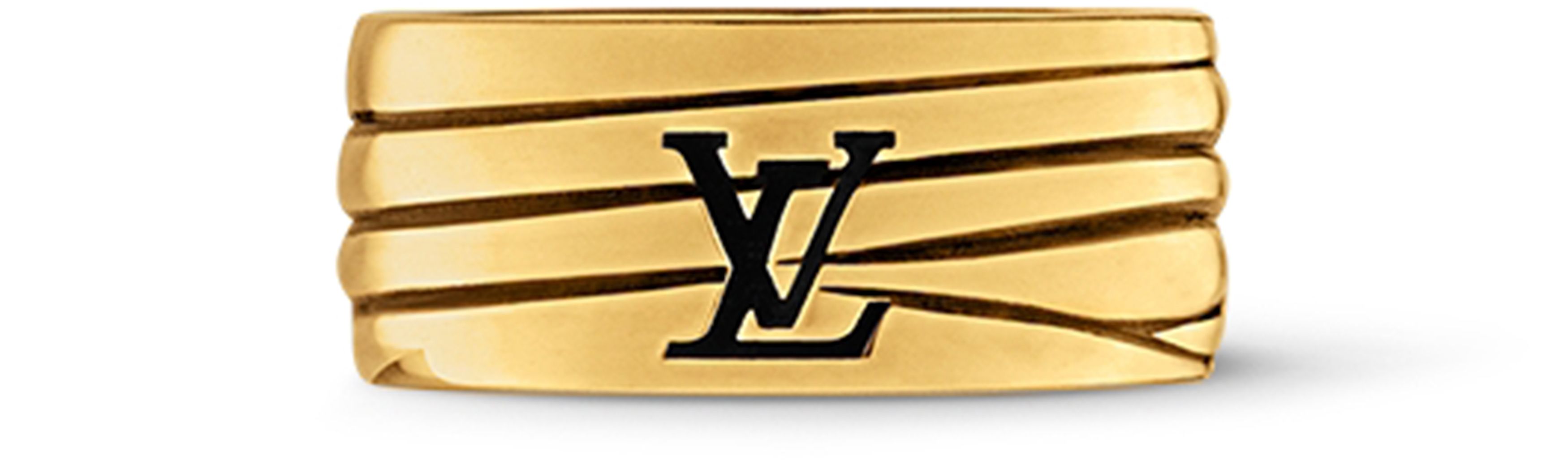 LV Epi Ring
