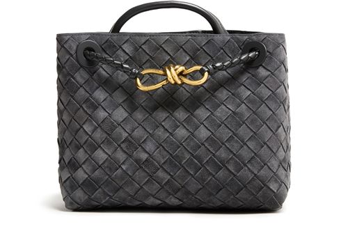 BOTTEGA VENETA Andiamo small bag