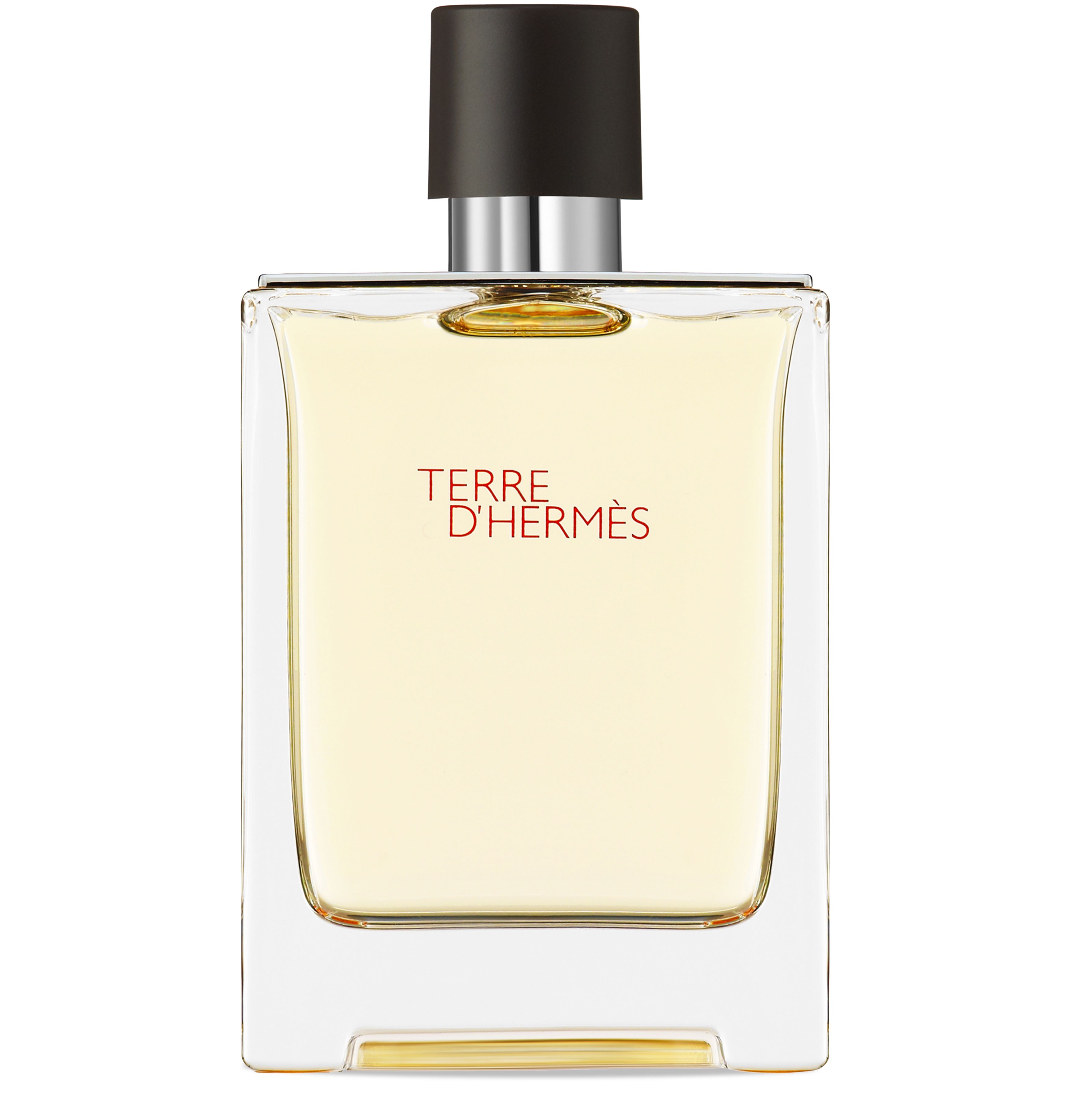 Terre d'Hermès, Eau de Toilette 100 ml