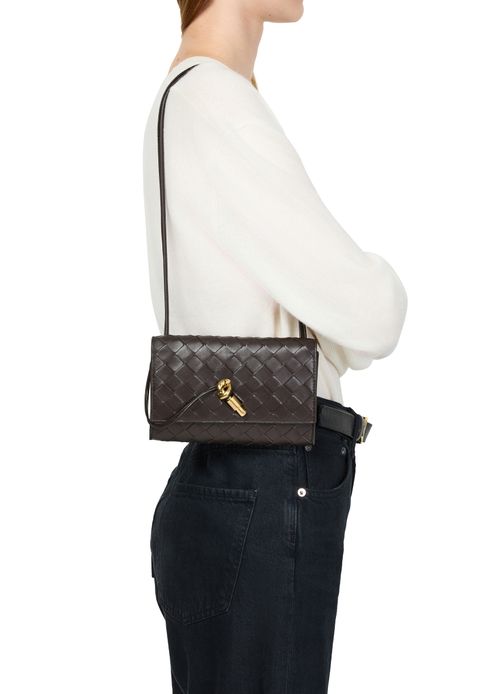 BOTTEGA VENETA Andiamo slim wallet with shoulder strap