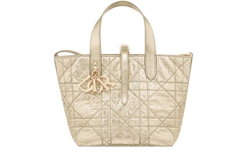 DIOR Small Dior Toujours Vertical Tote Bag