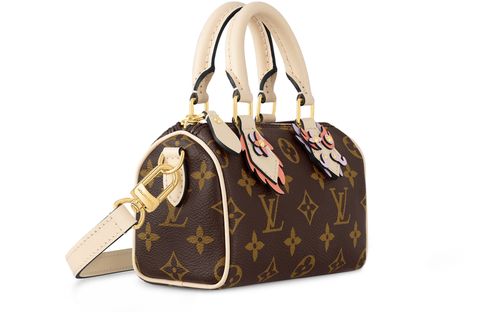 LOUIS VUITTON Nano Speedy