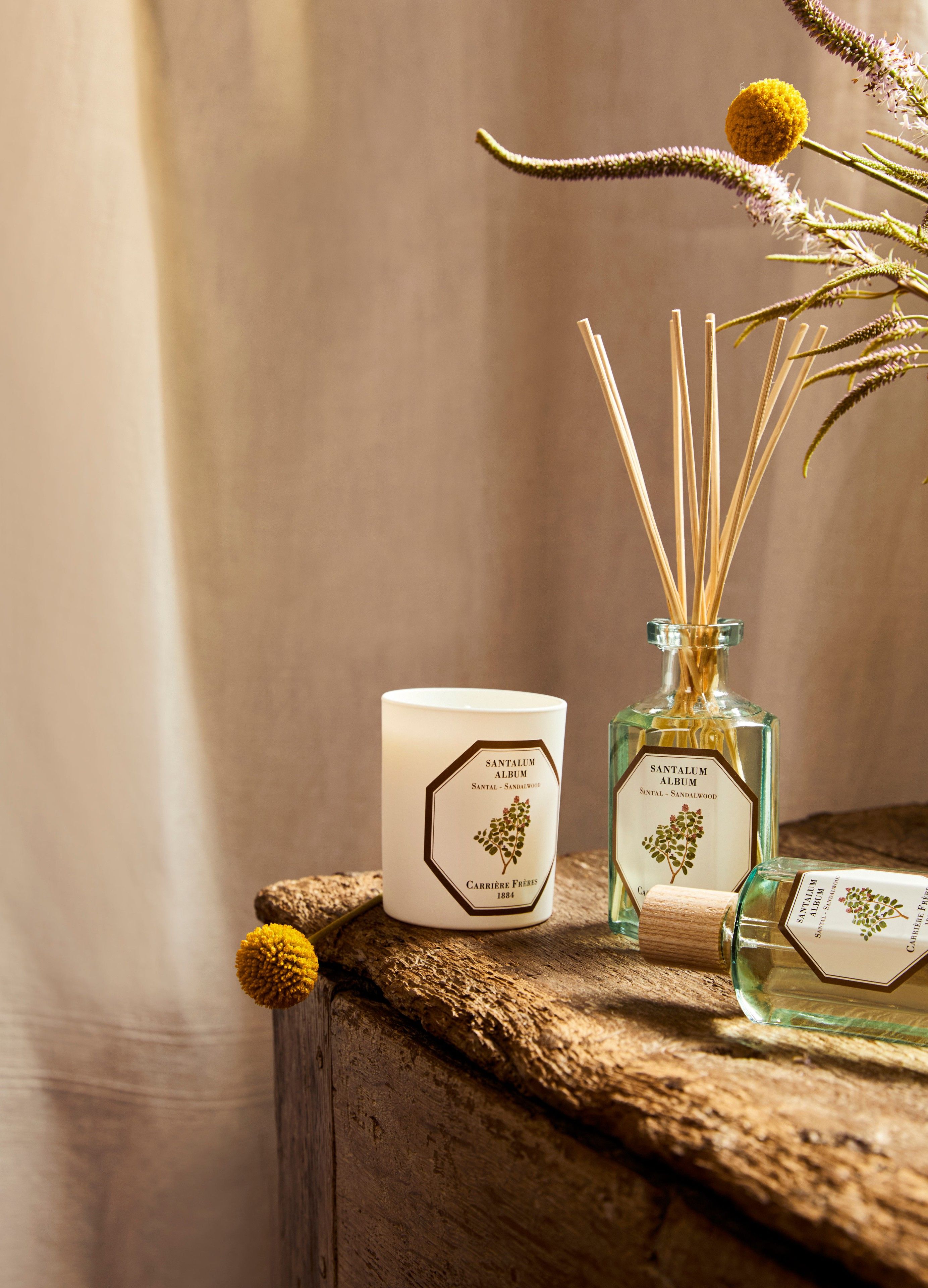 Fragrance diffuser Sandalwood - Santalum Album 200 ml thumbnail 3