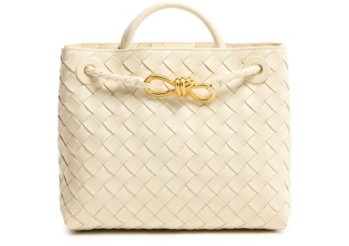 BOTTEGA VENETA Andiamo 小号手提包