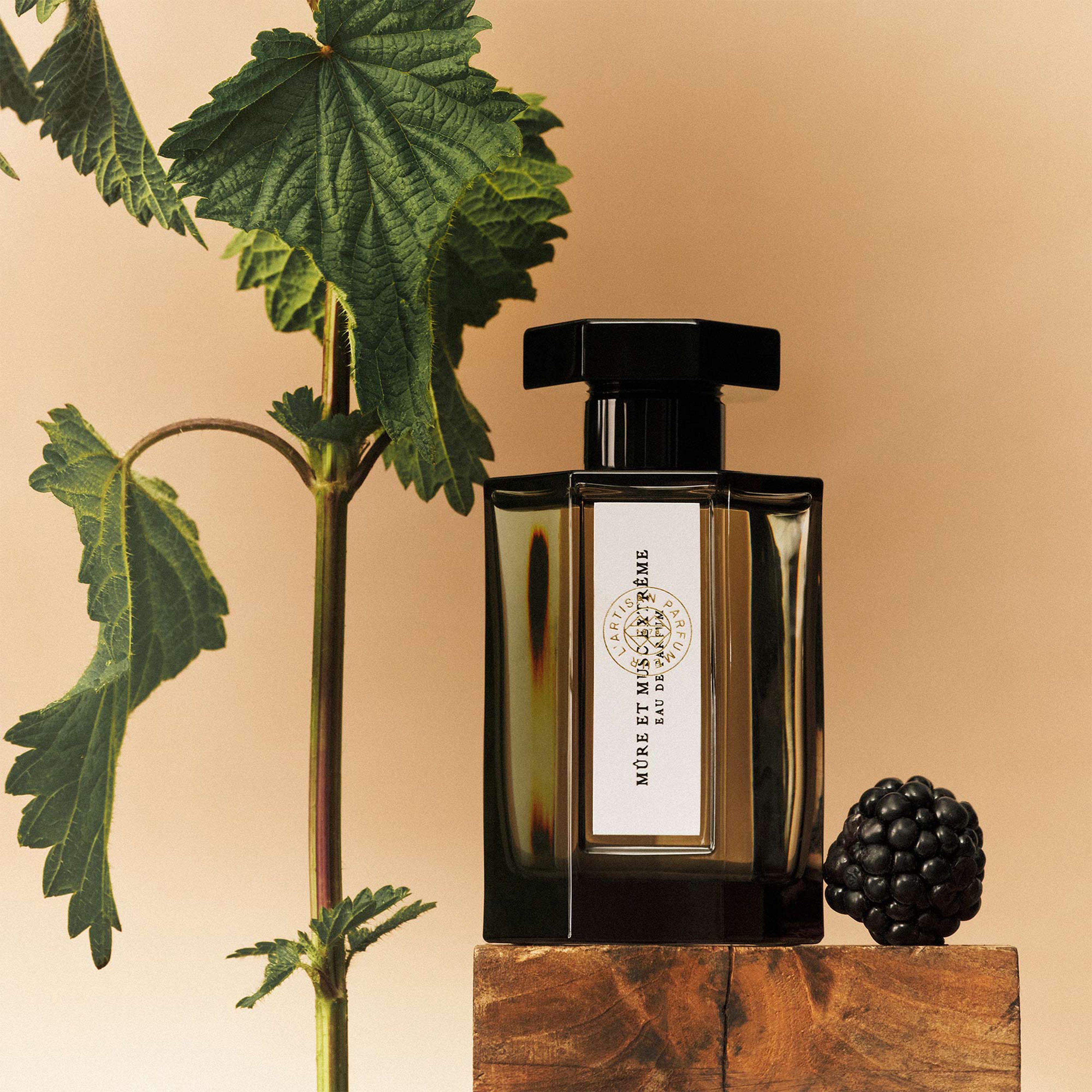 Mure et Musc Extrême eau de parfum 100 ml thumbnail 5