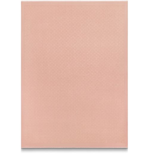 LOUIS VUITTON LV Nuage Stole