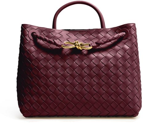 BOTTEGA VENETA Andiamo medium handbag