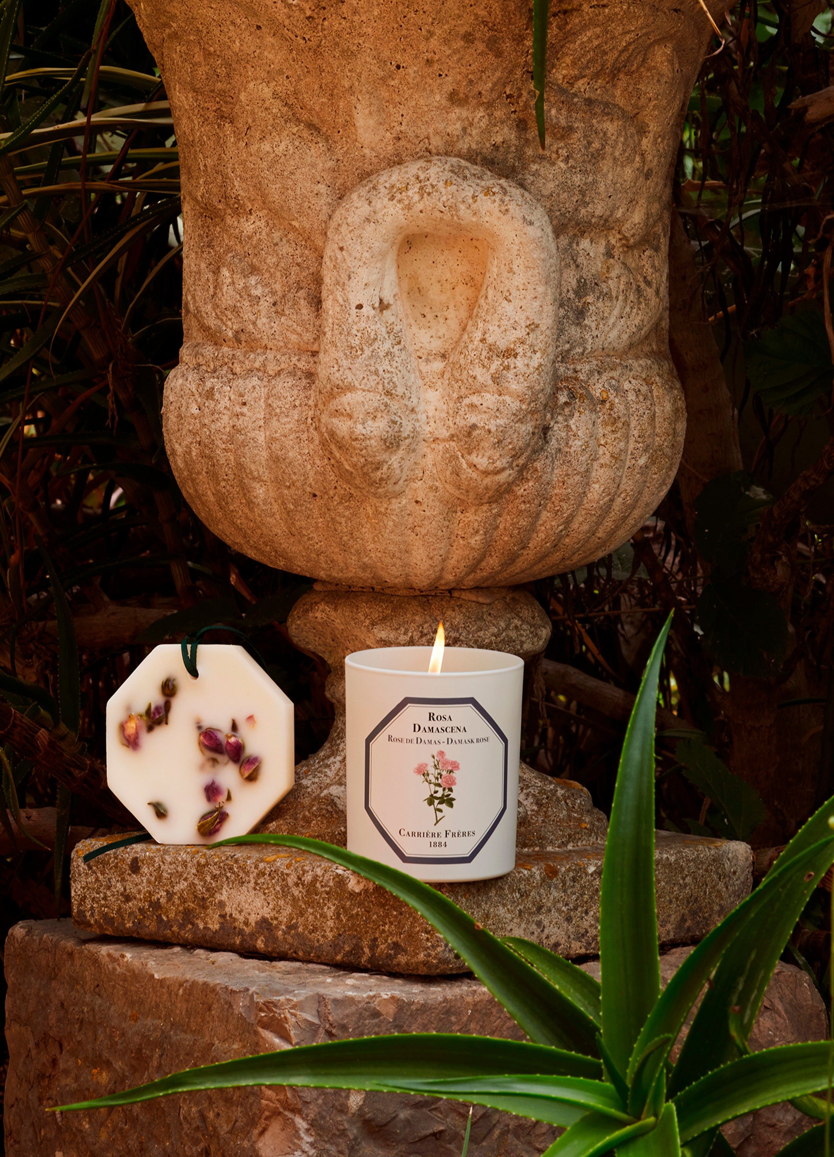 Scented Candle Damask Rose - Rosa Damascena 185 g thumbnail 4