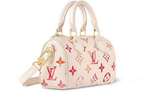 LOUIS VUITTON Nano Speedy