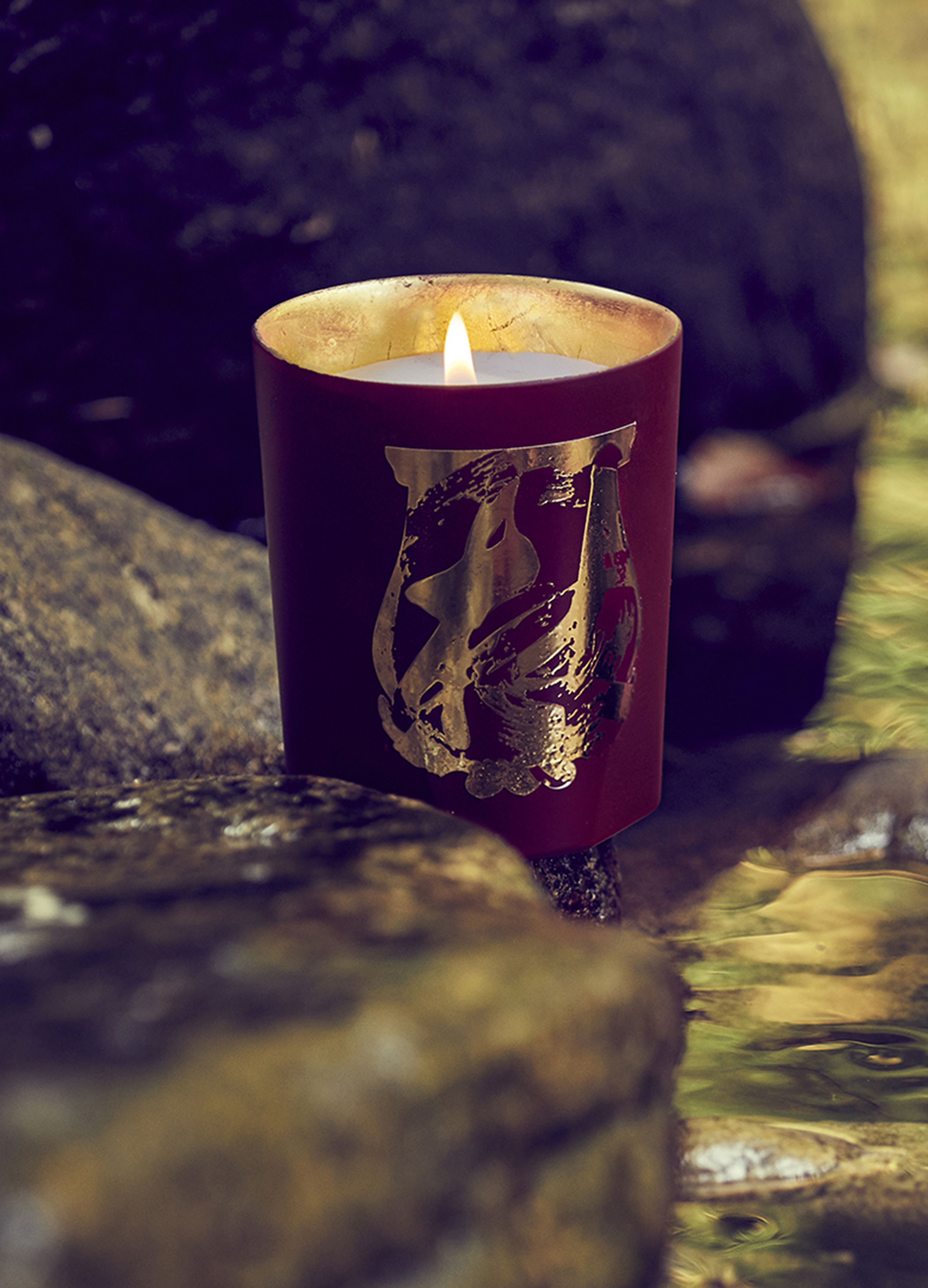Terre à Terre scented candle 270 g thumbnail 4