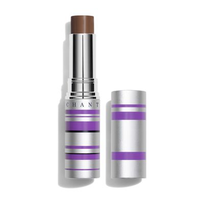Chantecaille Real Skin+ Eye And Face Foundation Stick In Shade 10