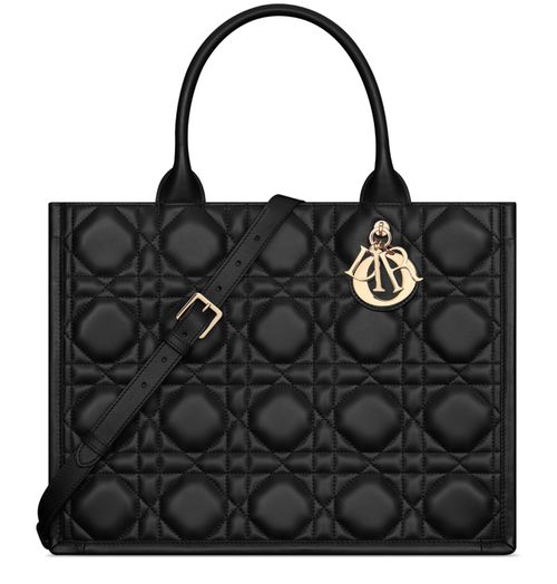 DIOR Medium Book Tote 