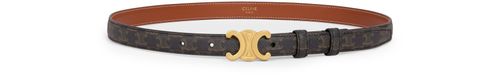 CELINE Small Triomphe belt in Triomphe canvas