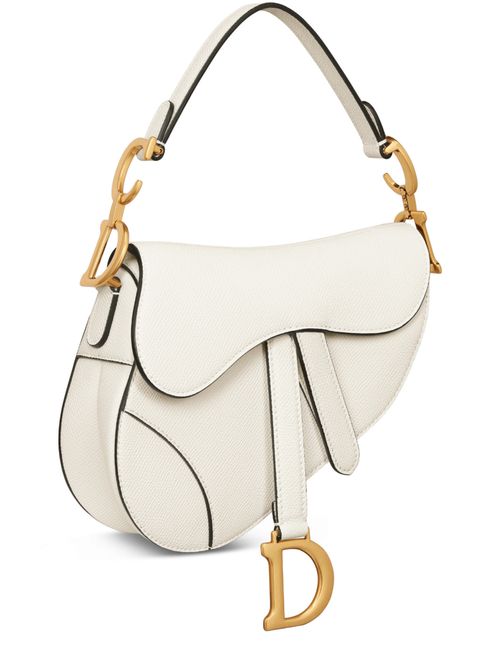 DIOR Mini Saddle Bag