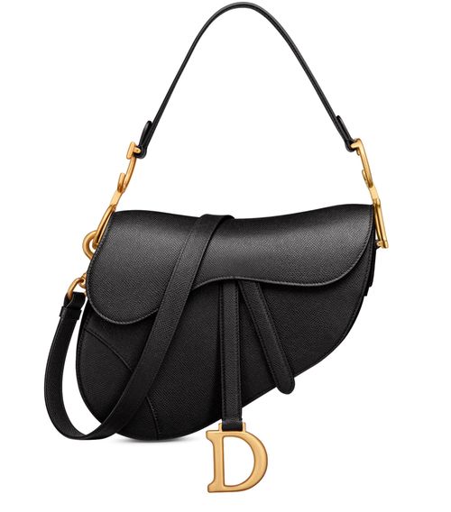 DIOR Saddle Bag