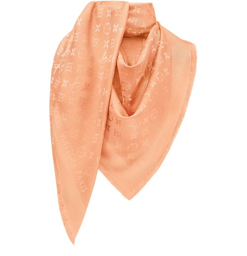LOUIS VUITTON Monogram Tuch