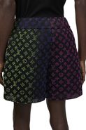 Mesh Shorts - LOUIS VUITTON