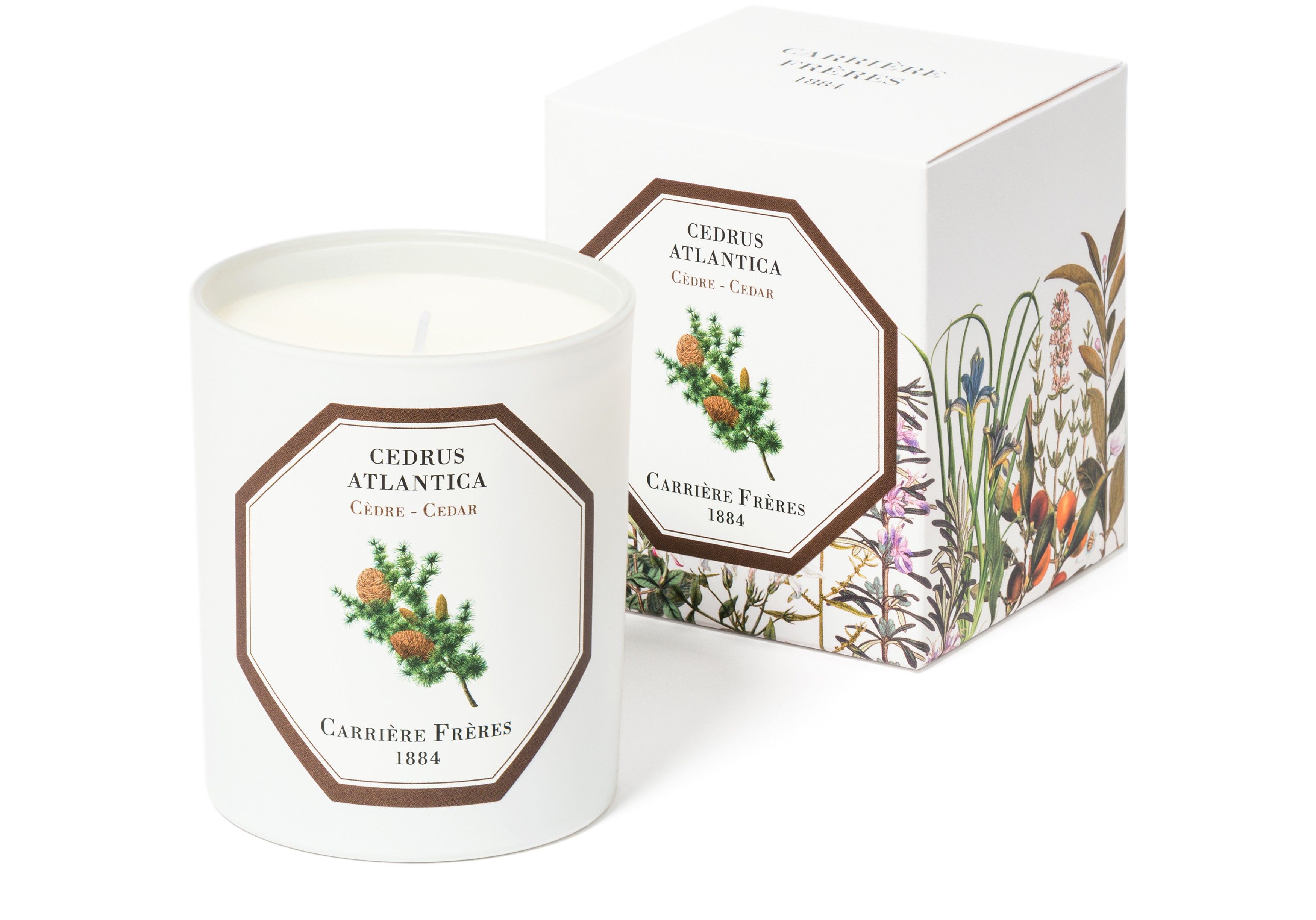 Scented Candle Cedar - Cedrus Atlantica 185 g thumbnail 5