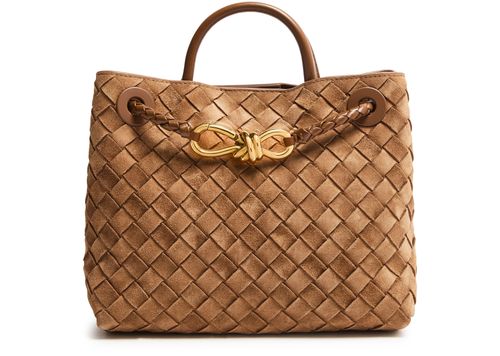 BOTTEGA VENETA Andiamo small bag