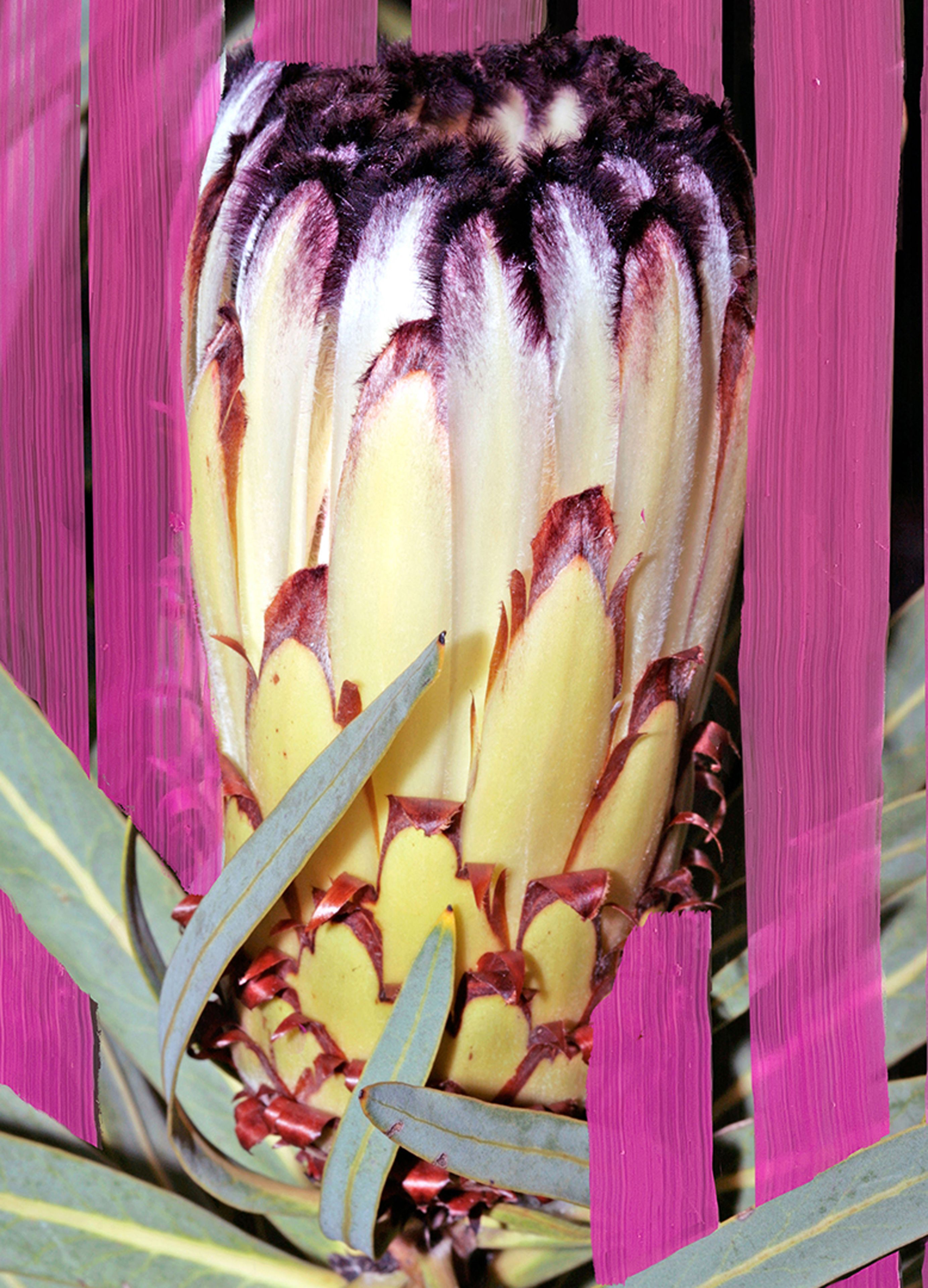 Inflorescence Eau de parfum 50 ml thumbnail 5