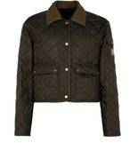 Women's Chitre quilted jacket | MONCLER | 24S