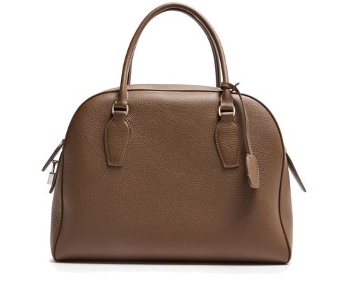 THE ROW India 12 handbag