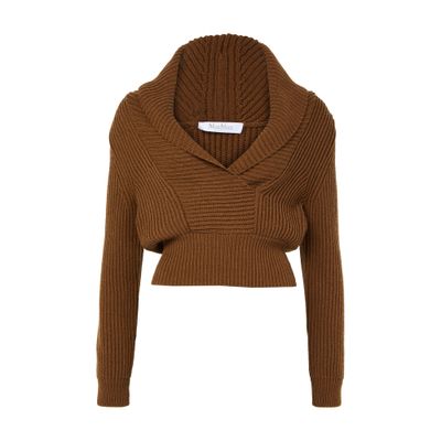 Max Mara Asburg Sweater In Brown