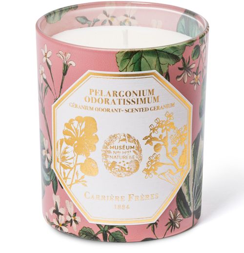 CARRIERE FRERES Scented Candle Pelargonium Odoratissimum - Scented Geranium - 185 g