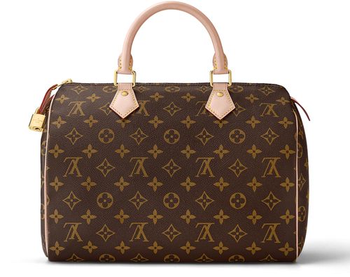 LOUIS VUITTON Speedy 30