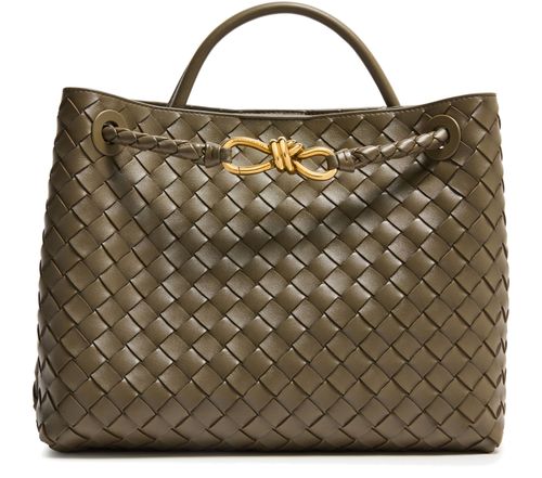 BOTTEGA VENETA Andiamo medium bag