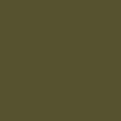 Ami Alexandre Mattiussi Belted Trench Coat Mac In Green