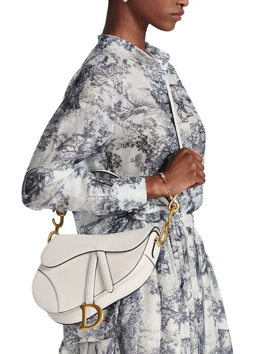 DIOR Saddle Bag