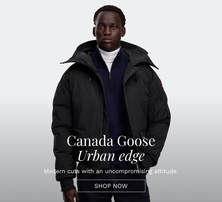 canada goose