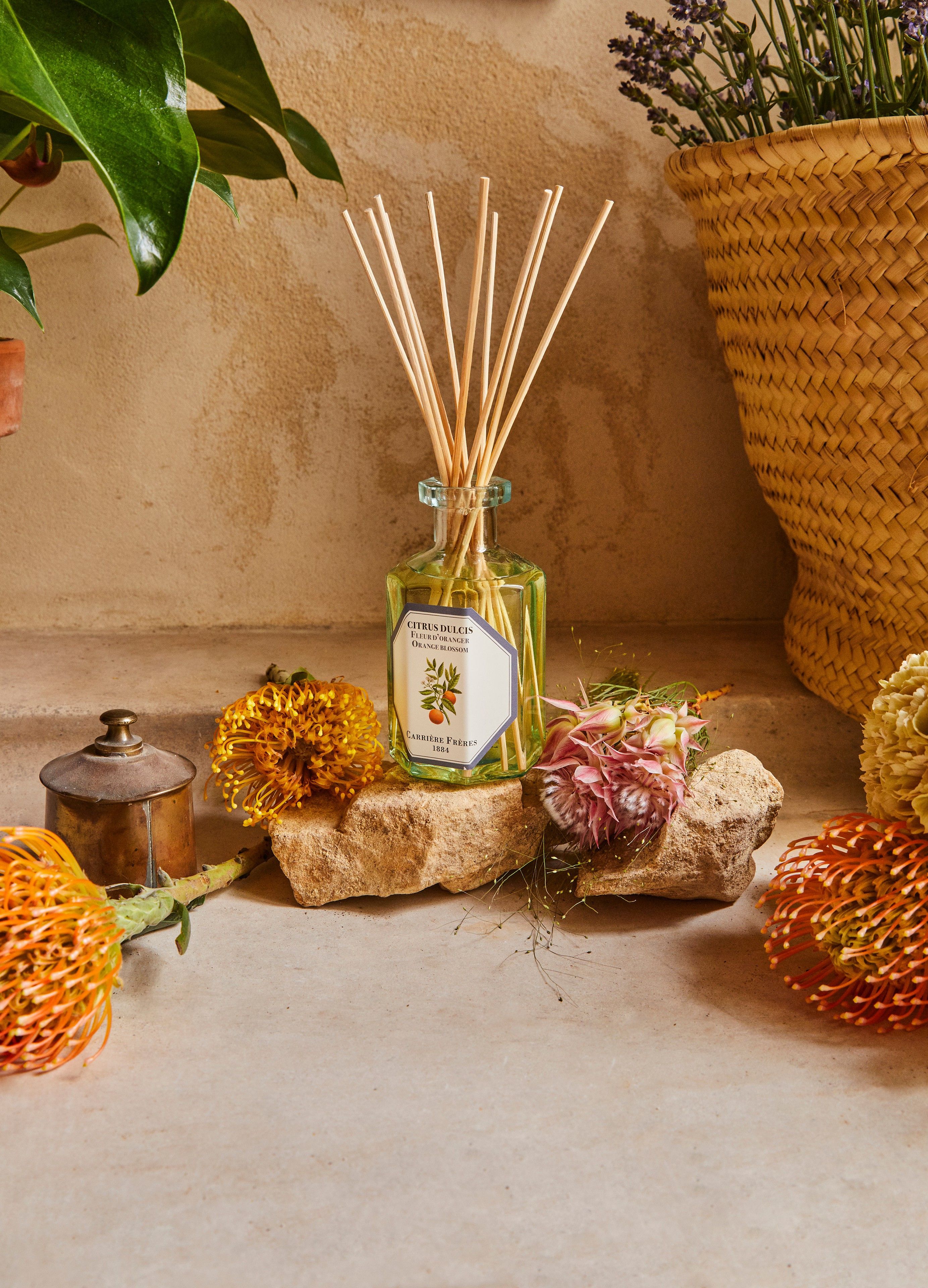 Fragrance diffuser Orange Blossom - Citrus Dulcis 200 ml thumbnail 3