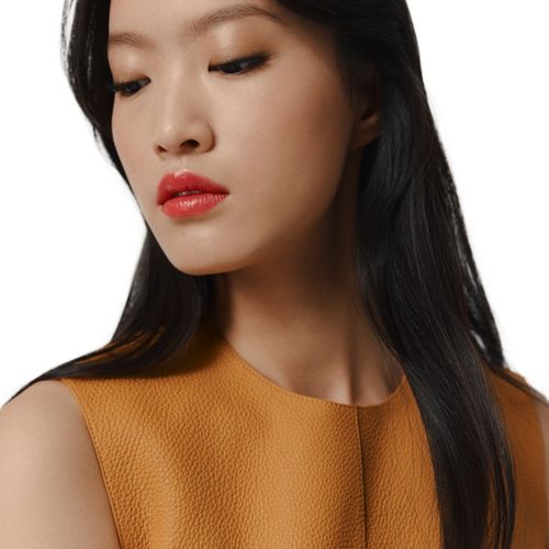 HERMÈS Rouge Hermès, Rouge Brillant Silky