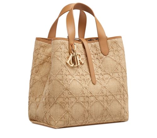DIOR Medium Dior Toujours Vertical Tote Bag