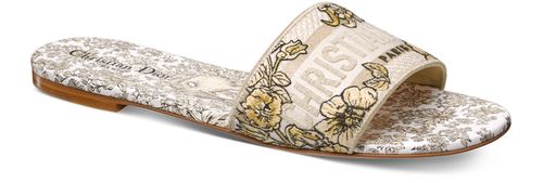 DIOR Dway Slide
