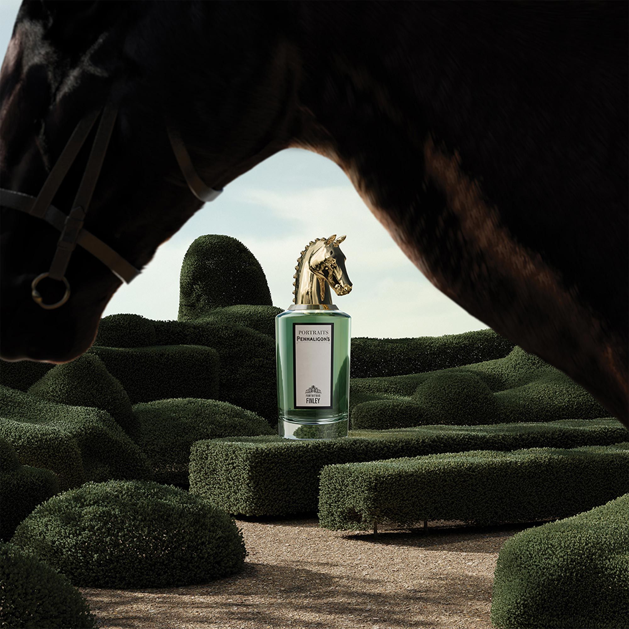 Fortuitous Finley eau de parfum 75 ml thumbnail 6